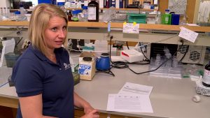 Dr. Kara Thornton-Kurth