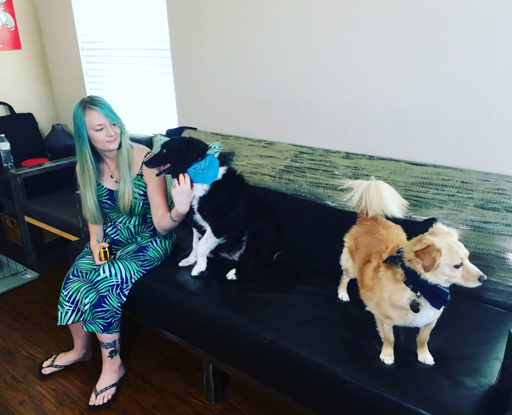 Is Your Dog Anxious Or Depressed? Science Says He Just Might Be - KSLTV.com - Puppy Mental Health Issues