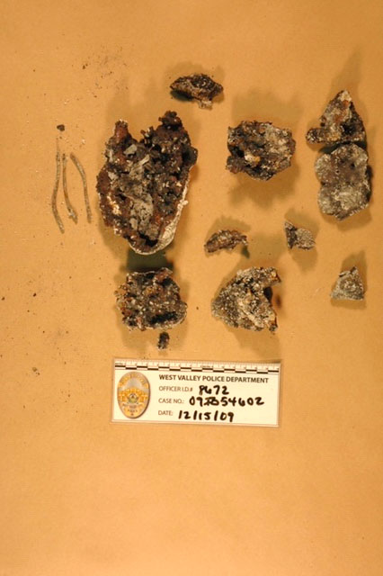 Evidence In Susan Powell Case Police Could Never Identify
