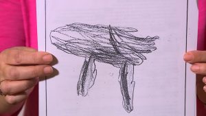 Odd Document, Behavior At Son's School Noted In Susan Powell Case