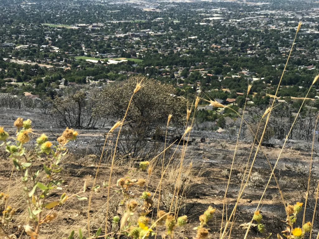 Gun Range Fire Now 100% Contained - KSLTV.com