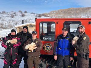 Search and rescue crews helped rescue the puppies. (Weber County Sheriff's Office Search and Rescue/Facebook)