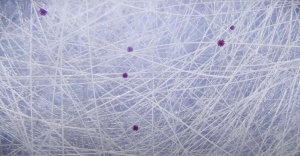 Both nanofibers and passing viruses have a static charge, which means they'll be attracted to each other. (BYU)