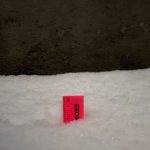 Sandy Snow; Kayla Stonely 2