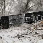 school bus2