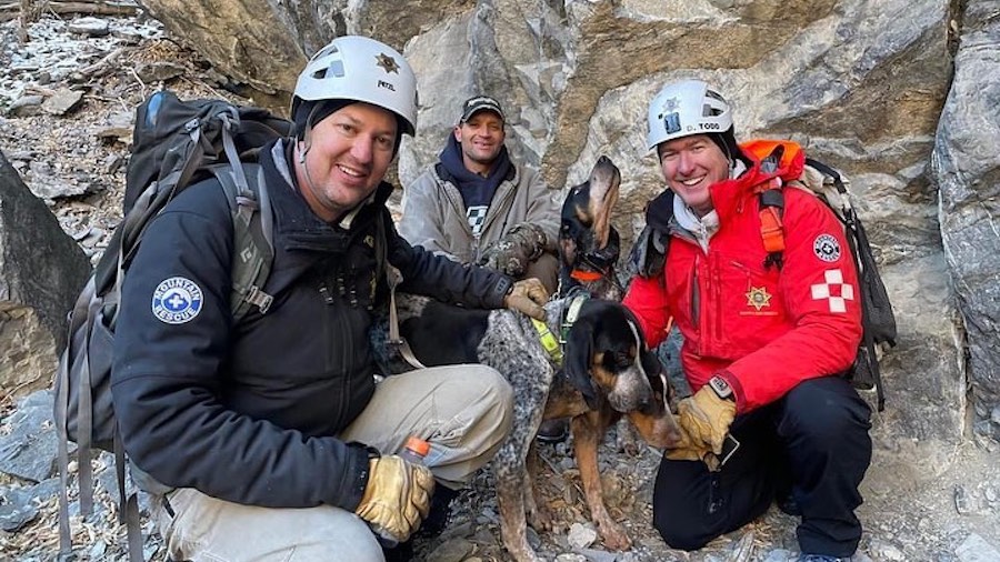 Two dogs rescued after spending three days in American Fork Canyon(02)