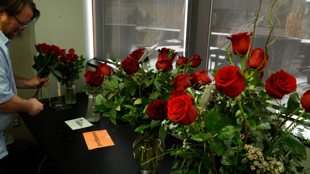 We purchased roses from nine different retailers: three online sellers, three local floral shops and three grocery stores.