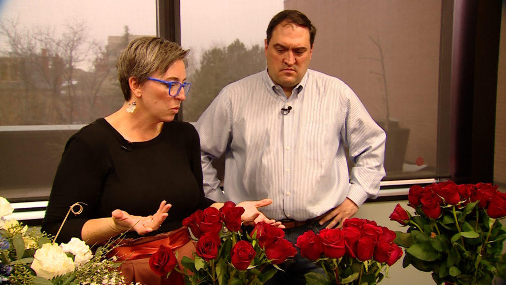 Utah State University horticulturist Sheriden Hansen shows KSL’s Matt Gephardt the hallmarks of good quality roses.