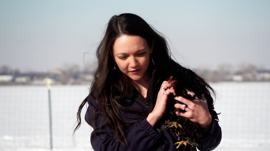 Chicken owner Kristina Enz helps manages a Facebook group for backyard chicken enthusiasts and says membership has soared since egg prices started going up. (KSL TV)
