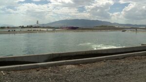 Lehi City: No new E. coli cases; reduced counts of bacteria in irrigation water. (KSL TV)