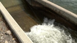 Lehi City: No new E. coli cases; reduced counts of bacteria in irrigation water. (KSL TV)