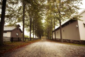 A bucolic road runs through Martha Stewart's farm in Westchester County, which is just north of New York City. (Booking.com)