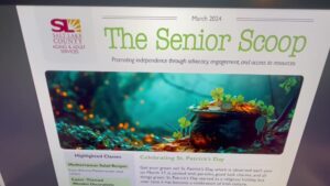 A screenshot of the virtual newsletter. (KSL TV)