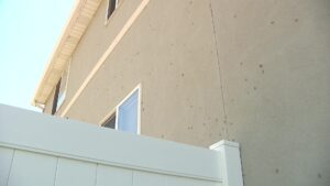 The grasshoppers crawling on Lindsay's home and fence. (Shelby Lofton, KSL TV)