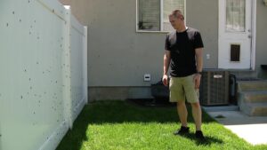 Springville resident Kris Lindsay watching the horde of grasshoppers crawling on his fence. (Shelby Lofton, KSL TV)