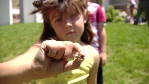 One of Lindsay's kids holding a grasshopper. (Shelby Lofton, KSL TV)