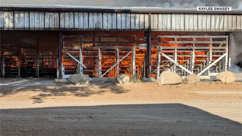 A junior livestock show that's been performing for over 80 years was displaced after its home barn burned down. The barn was a historic landmark that was built during the Great Depression by volunteers. (Courtesy Kaylee Swasey)
