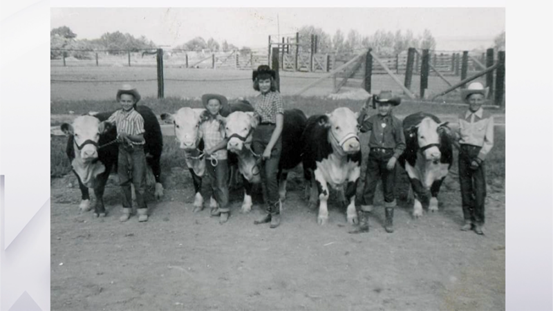 Photos of children participating in a junior livestock show in Ferron, Utah. (KSL TV)