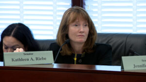 State Sen. Kathleen Riebe, D-Cottonwood Heights, is pictured during a legislative hearing. (Istvan Bartos, KSL TV, File)