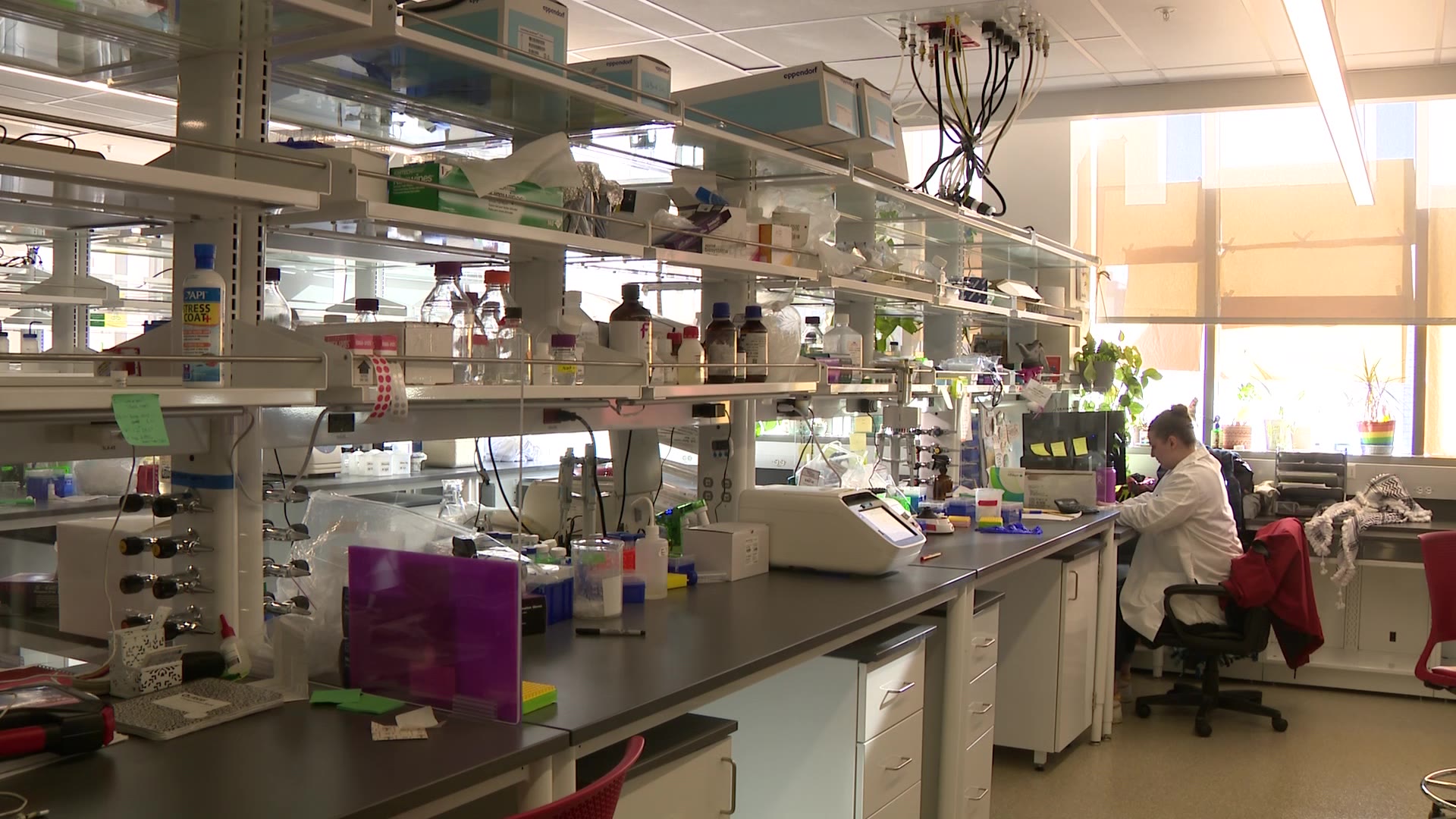 One of the labs of The College of Mines and Earth Sciences at the University of Utah. (KSL TV)