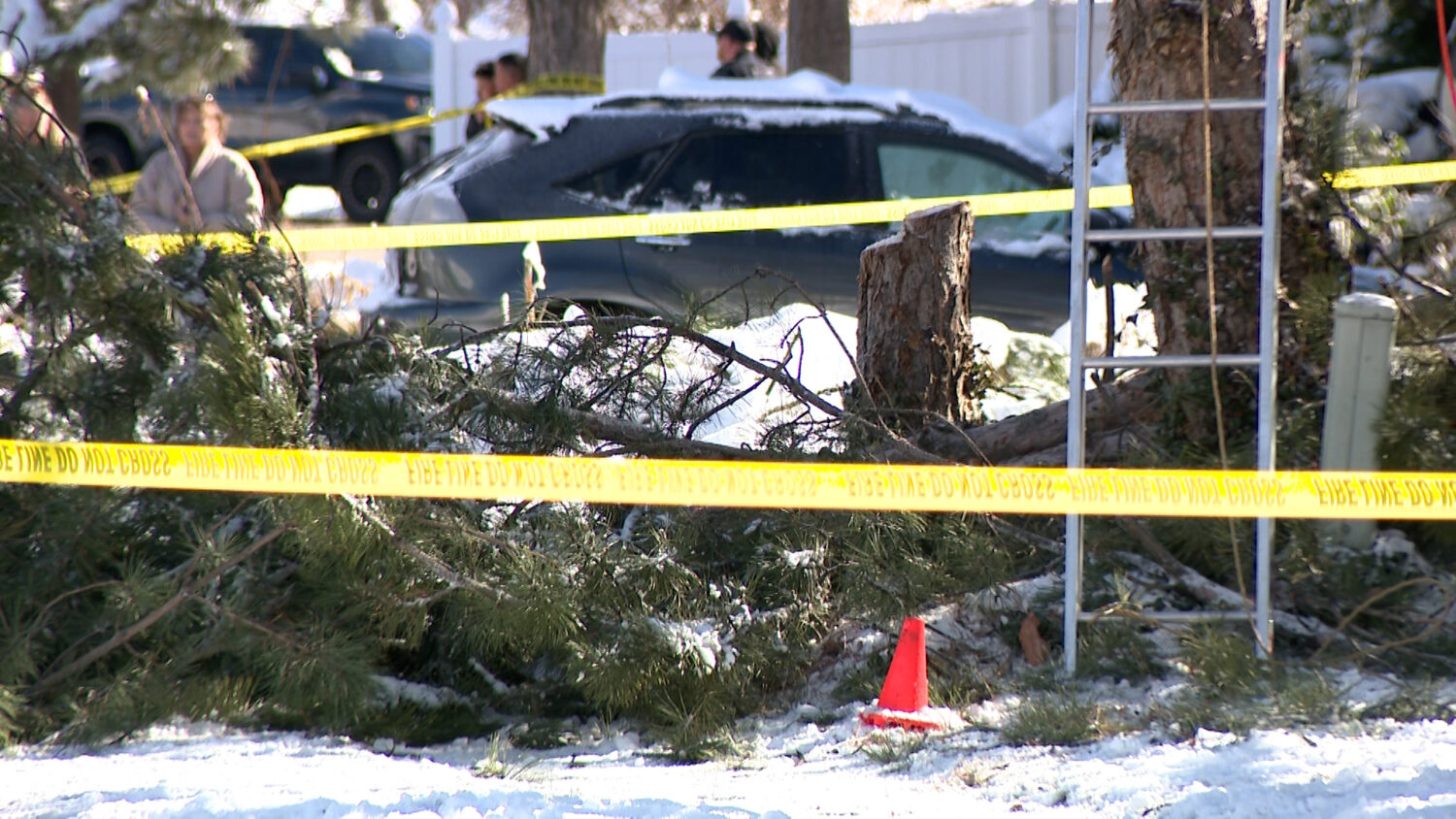 The fallen tree in the Kaysville neighborhood. (Greg Anderson, KSL TV)