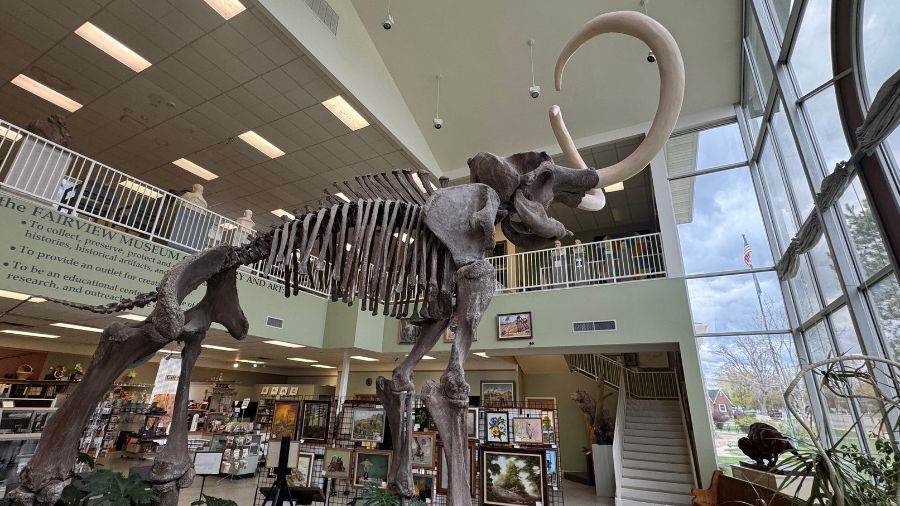 The mammoth inside the Fairview Museum is a full-size replica cast from real mammoth bones discovered just up the mountain from Fairview in 1988. (Alex Cabrero, KSL TV)
