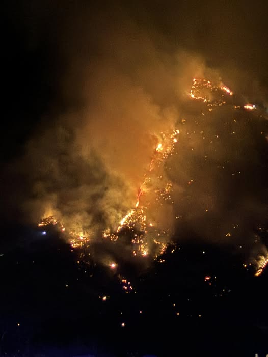 The Maple Fire reached 50 acres on Saturday morning. (Mapleton Police Department)