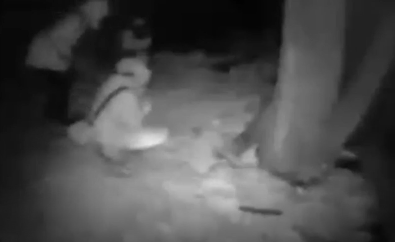 (Photo courtesy: Weber Metro Cold Case Task Force)