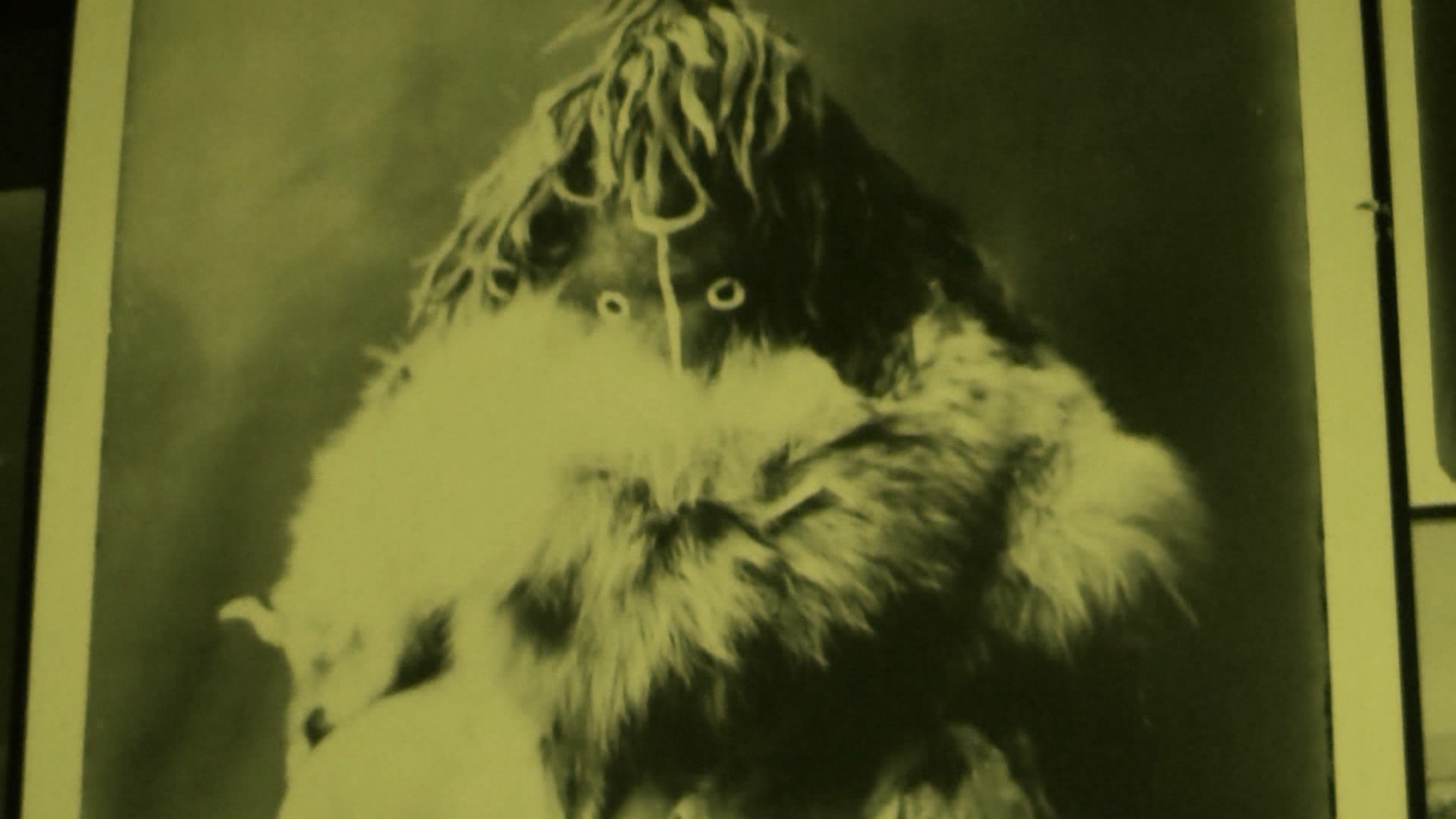 A photo of the supposed "skinwalker" that roams across the ranchland. (KSL TV)