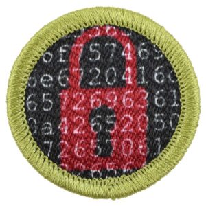 Scouting America's Cybersecurity Merit Badge. Scouting America via CNN Newsource