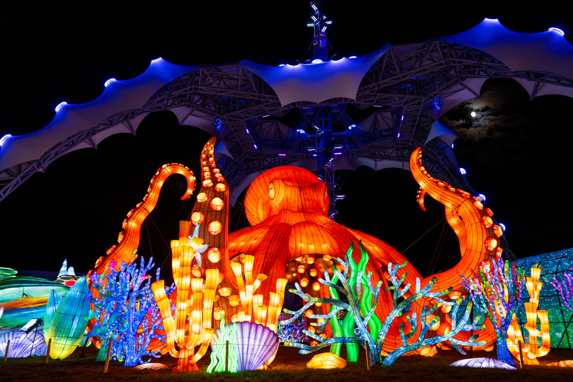 See some new lanterns at this year's Lantern Festival