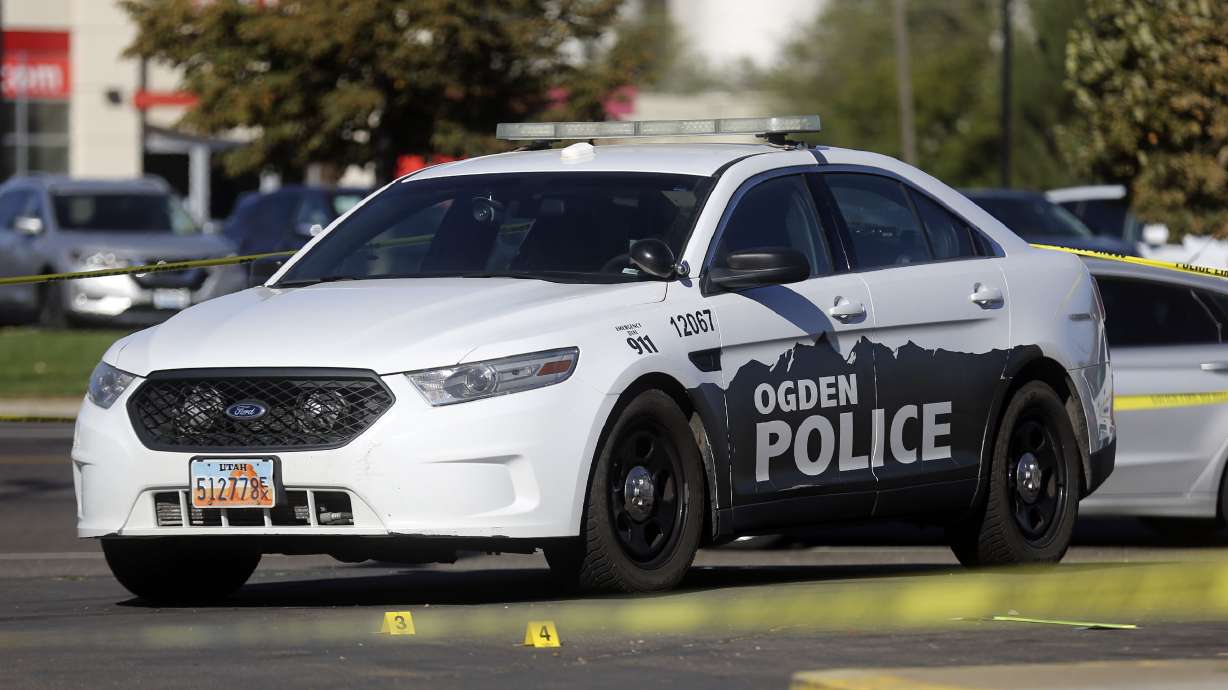 Assault News Image