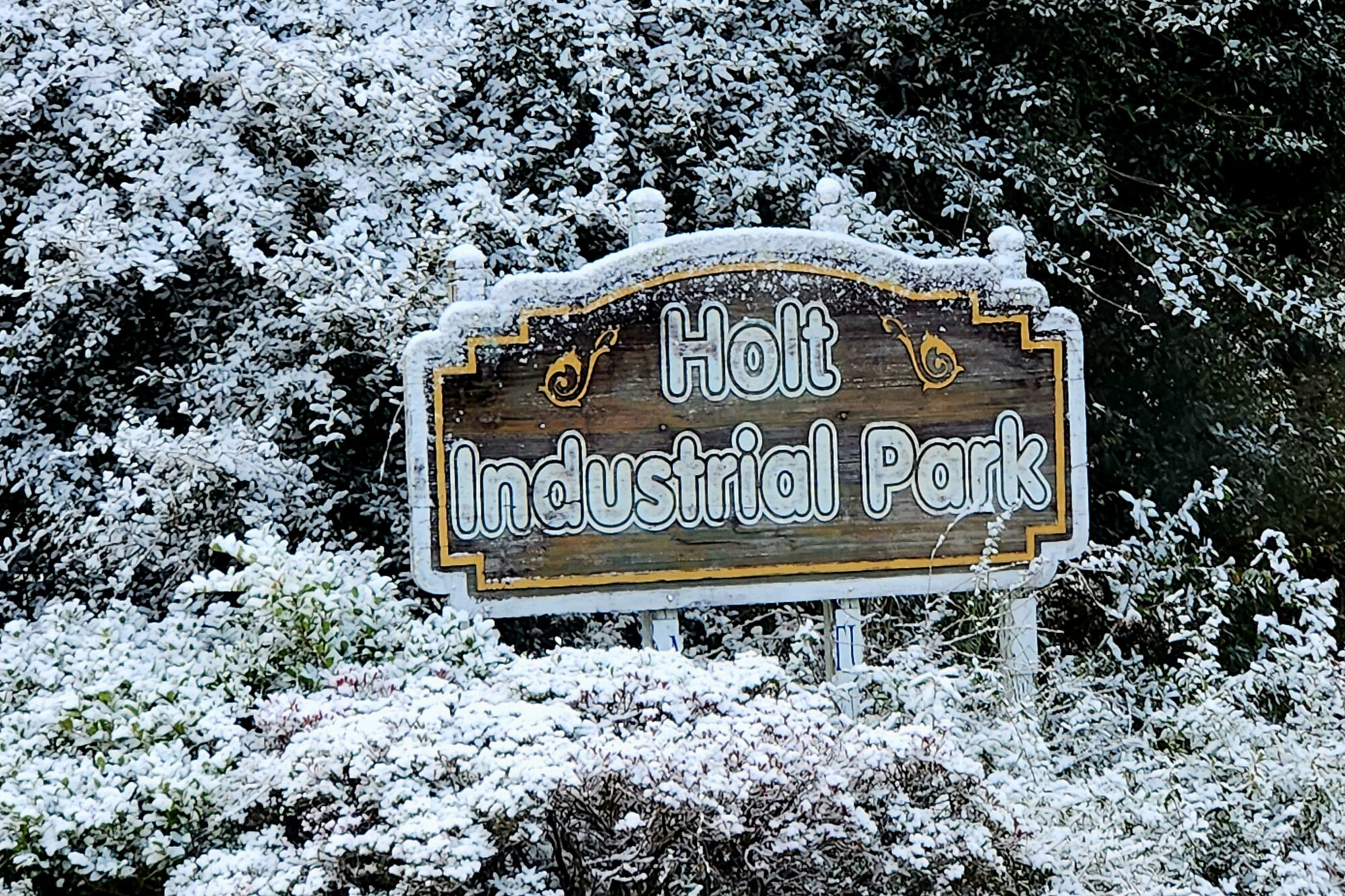 Weather in Jan in Florida – A Winter Wonderland in the Sunshine State