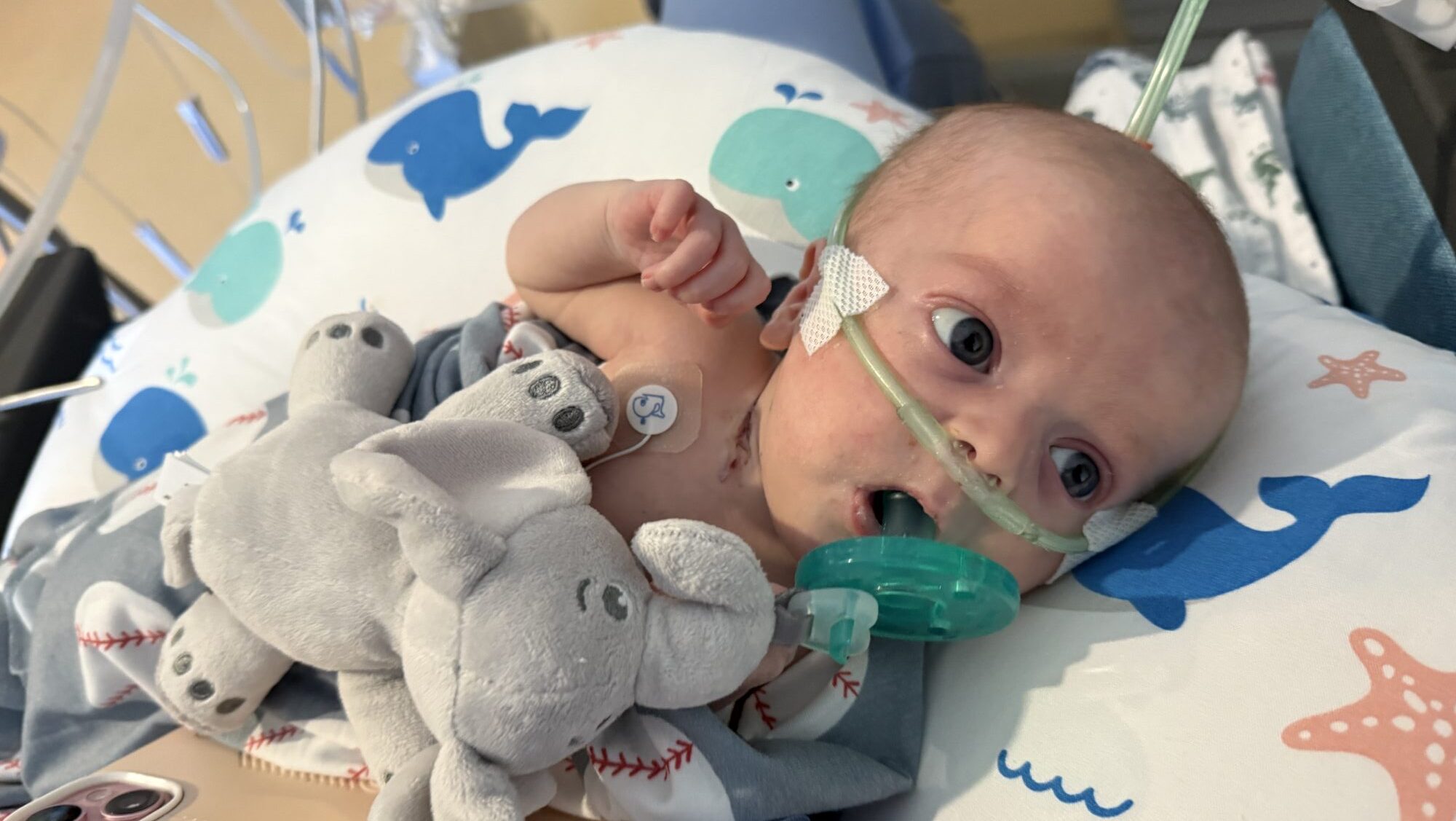 South Weber family travels across country for rare life-saving surgery for newborn