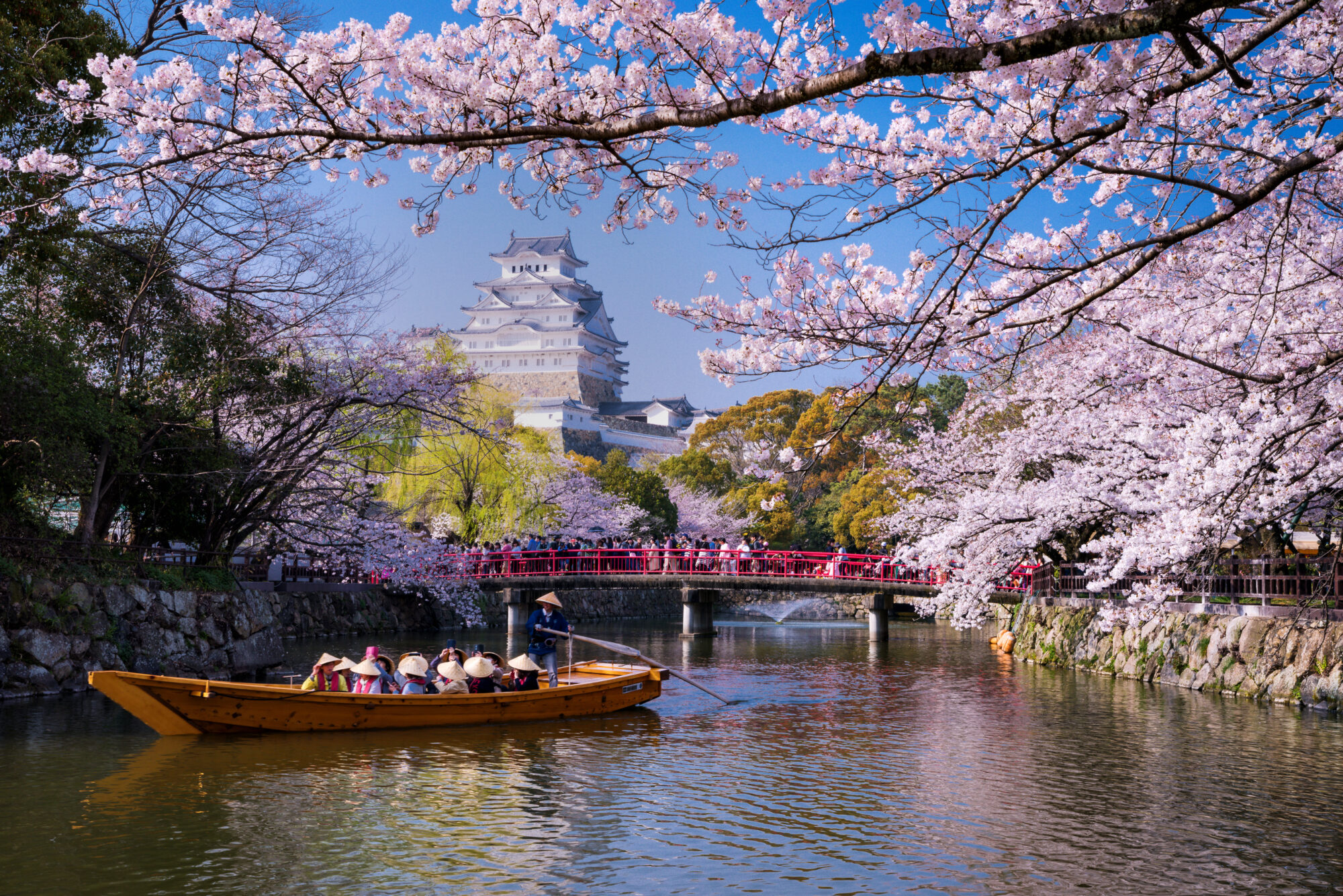 Hyogo.Japan-April 6,2019.a boat sails from the direction of Himeji Castle in spring.Cherry blossoms...