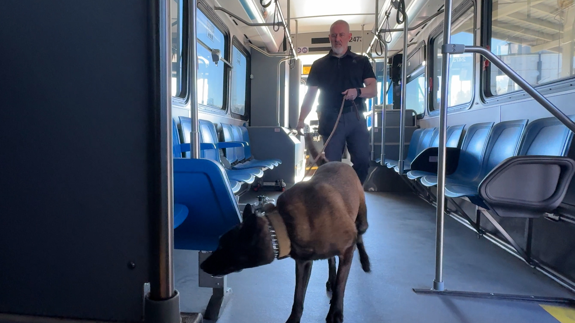 Detective Mitch Blackham leads Wolverine on a training exercise Wednesday. (Mike Anderson, KSL)