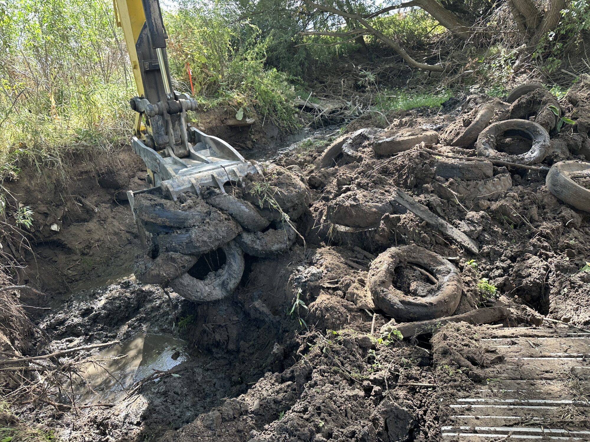 Piles of old tires were among the debris, pulled from the banks of the Logan River. (Photo Courtesy, Juniper Earthworks)