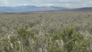 Land where The Stratos Project could be built in Western Box Elder County. (Mike Anderson, KSL)